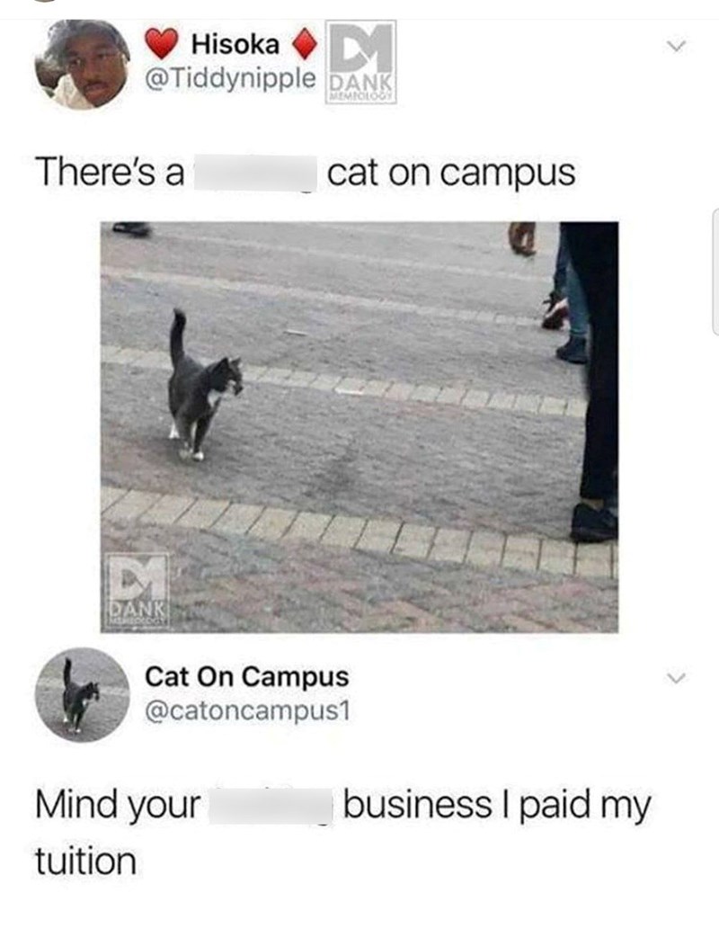 Hisoka M @Tiddynipple DANK MEMIOLOGY There's a cat on campus DANK Cat On Campus @catoncampus1 Mind your tuition business I paid my