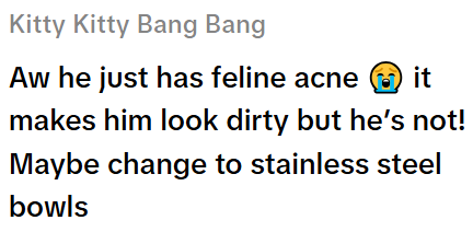 Kitty Kitty Bang Bang Aw he just has feline acne it makes him look dirty but he's not! Maybe change to stainless steel bowls