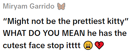 Miryam Garrido "Might not be the prettiest kitty" WHAT DO YOU MEAN he has the cutest face stop itttt 30
