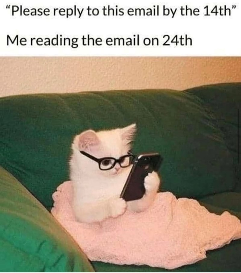 "Please reply to this email by the 14th" Me reading the email on 24th