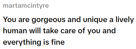 martamcintyre You are gorgeous and unique a lively human will take care of you and everything is fine