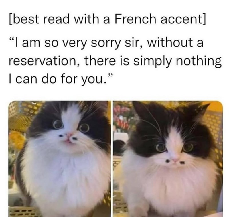 [best read with a French accent] "I am so very sorry sir, without a reservation, there is simply nothing I can do for you."