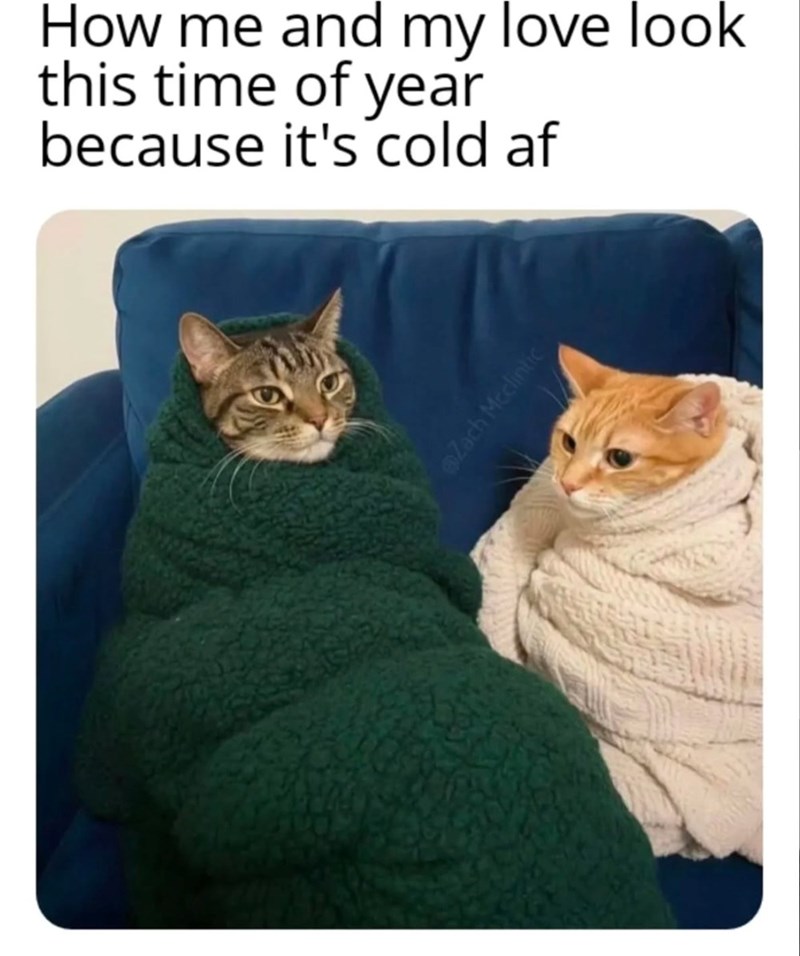 How me and my love look this time of year because it's cold af Zach Mcclintic