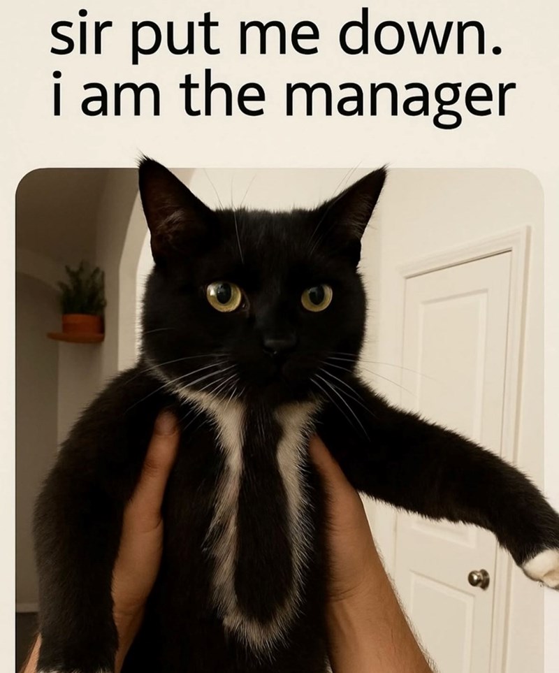 sir put me down. i am the manager