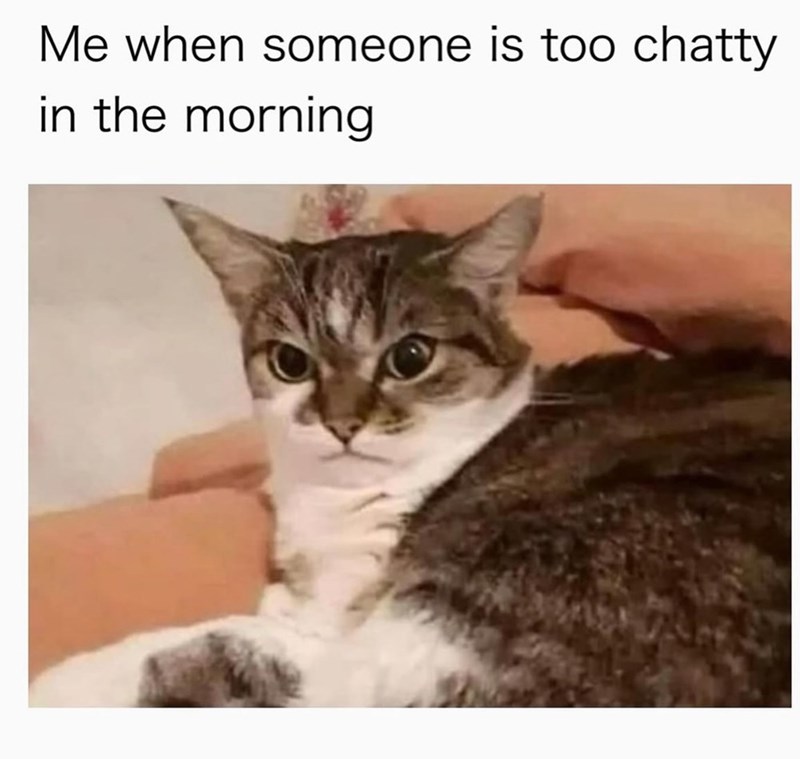 Me when someone is too chatty in the morning