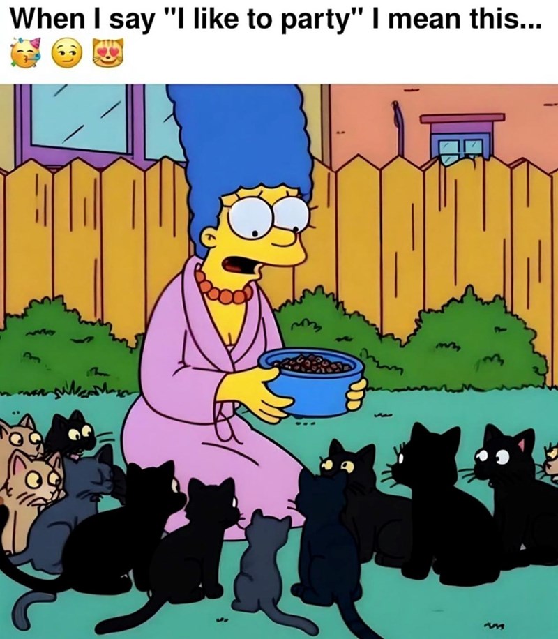 When I say "I like to party" I mean this... 733