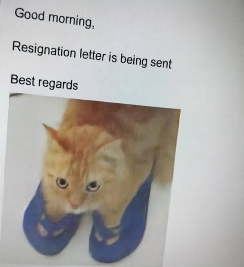 Good morning, Resignation letter is being sent Best regards