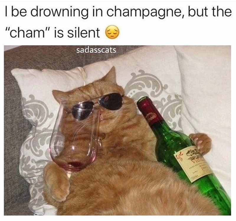 I be drowning in champagne, but the "cham" is silent sadasscats