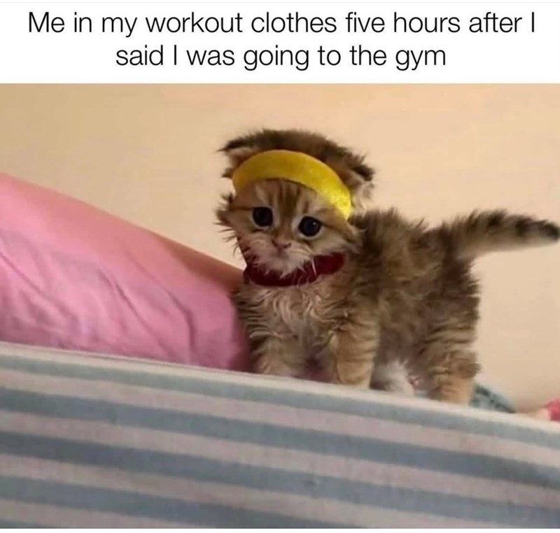 Me in my workout clothes five hours after I said I was going to the gym