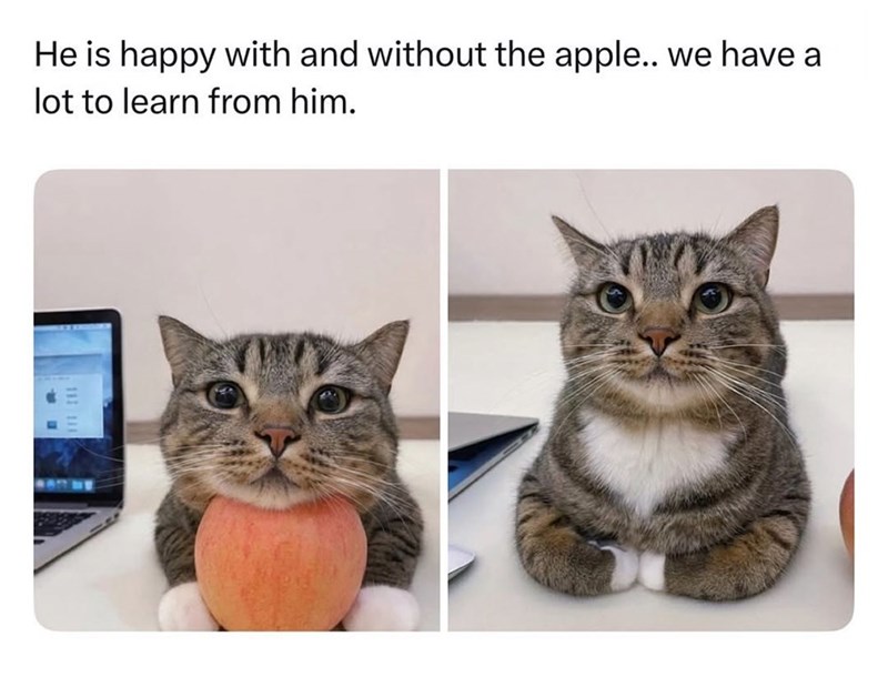 He is happy with and without the apple.. we have a lot to learn from him.