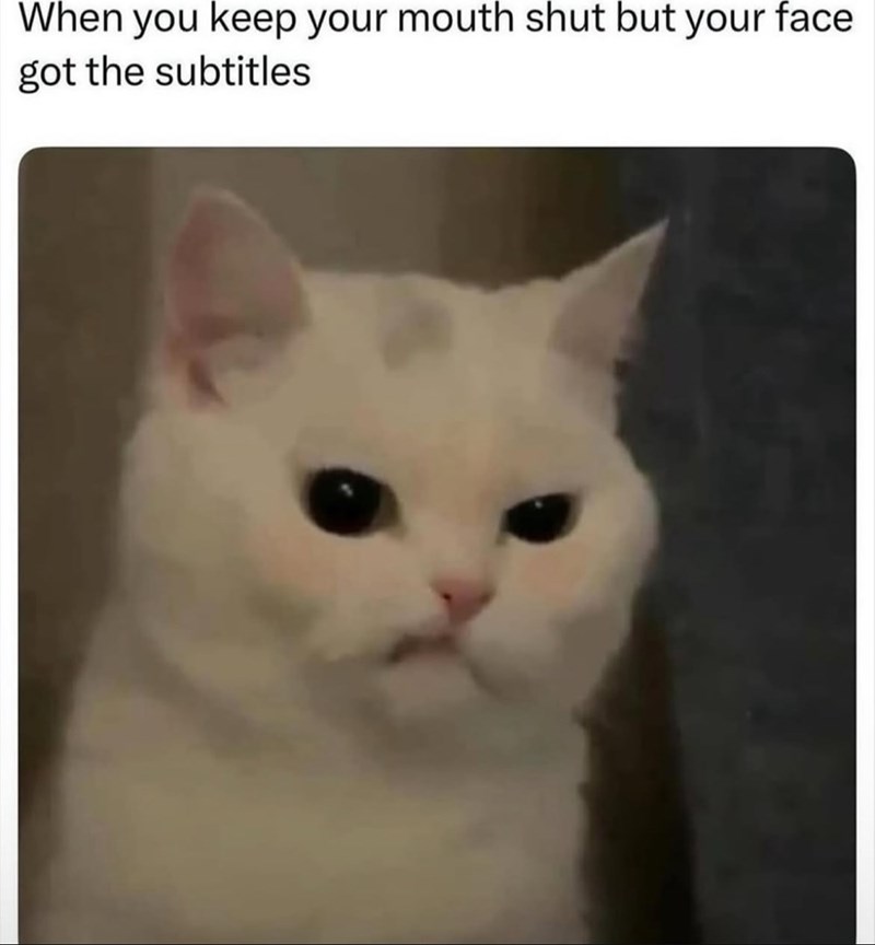 When you keep your mouth shut but your face got the subtitles