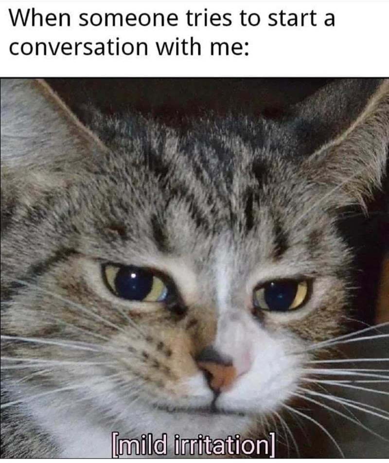 When someone tries to start a conversation with me: [mild irritation]