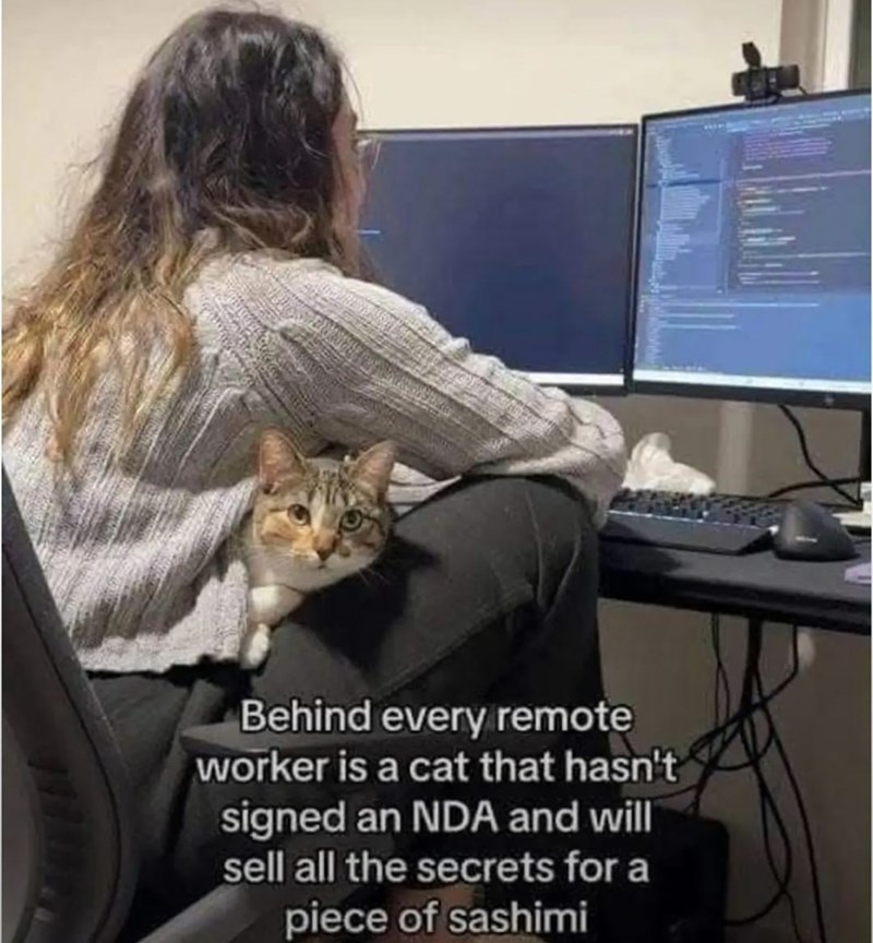 Behind every remote worker is a cat that hasn't signed an NDA and will sell all the secrets for a piece of sashimi
