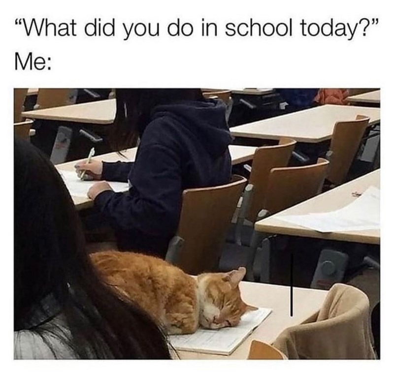 "What did you do in school today?" Me: