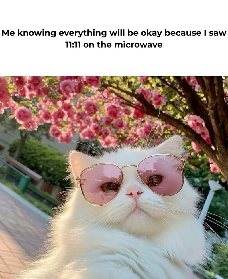 Me knowing everything will be okay because I saw 11:11 on the microwave