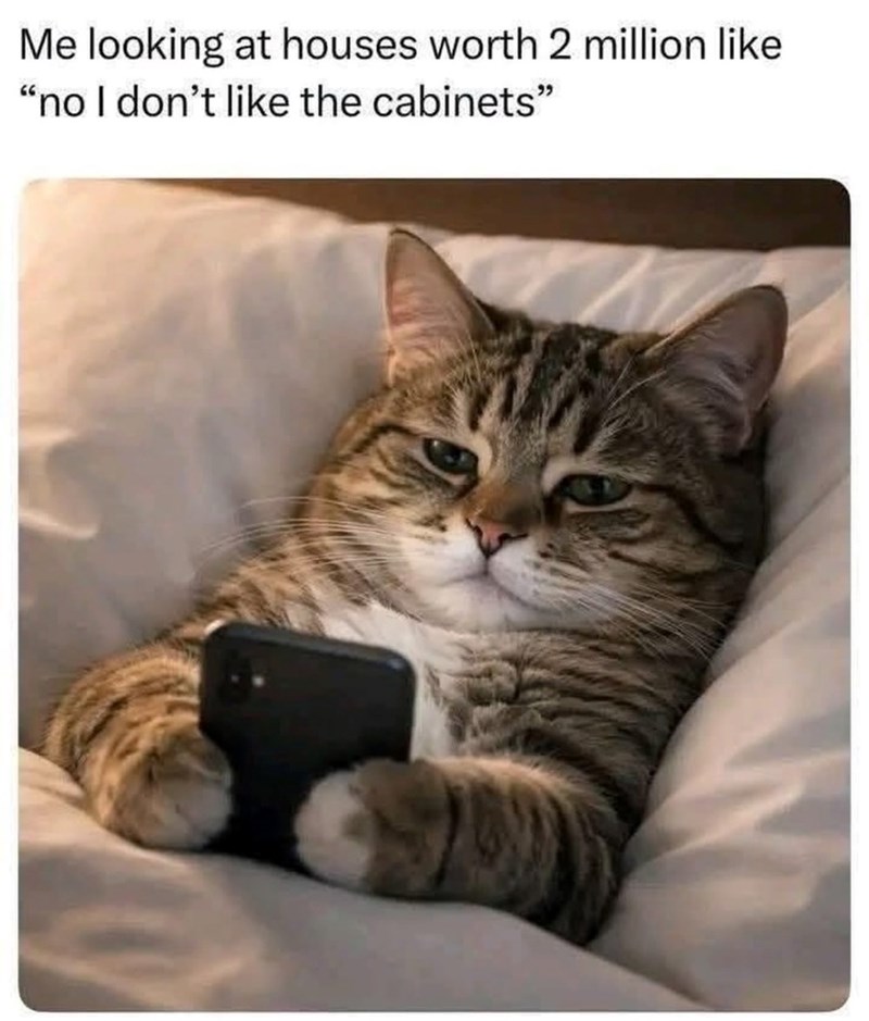 Me looking at houses worth 2 million like. "no I don't like the cabinets"