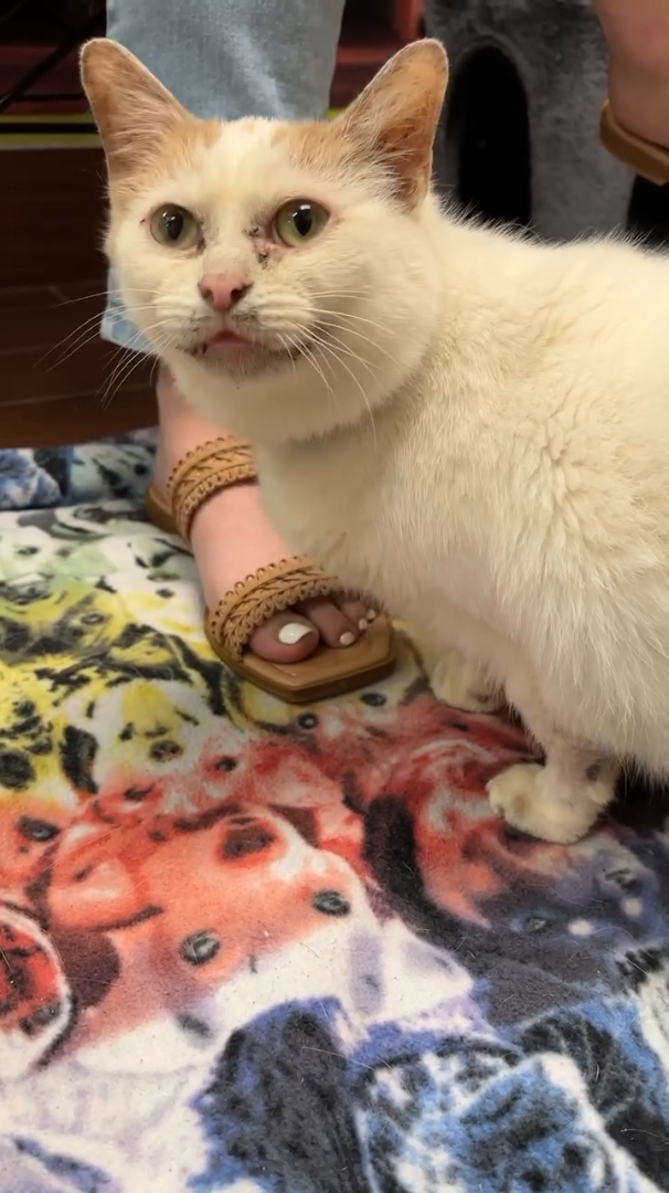 Cheezburger Image 10611131904