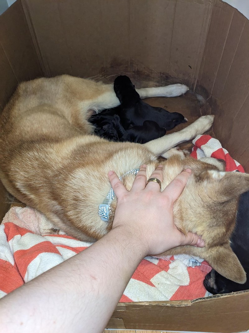 Cheezburger Image 10611133952