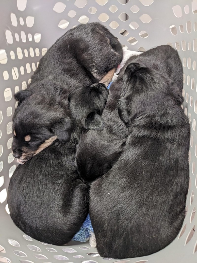 000 כרך! 200 བ་