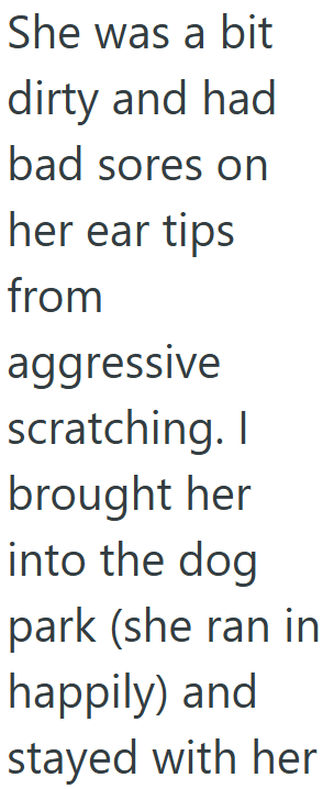She was a bit dirty and had bad sores on her ear tips from aggressive scratching. I brought her into the dog park (she ran in happily) and stayed with her