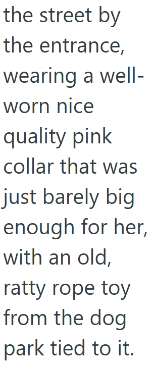 the street by the entrance, wearing a well- worn nice quality pink collar that was just barely big enough for her, with an old, ratty rope toy from the dog park tied to it.