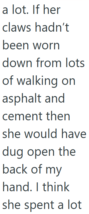 a lot. If her claws hadn't been worn down from lots of walking on asphalt and cement then she would have dug open the back of my hand. I think she spent a lot