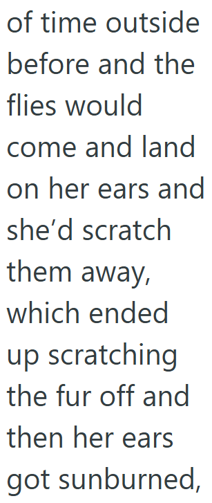 of time outside before and the flies would come and land on her ears and she'd scratch them away, which ended up scratching the fur off and then her ears got sunburned,