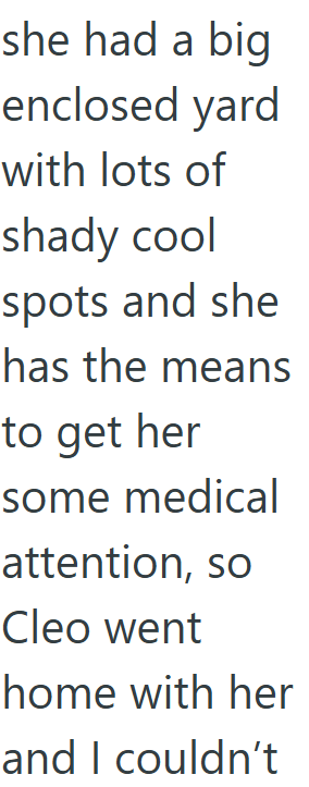 she had a big enclosed yard with lots of shady cool spots and she has the means to get her some medical attention, so Cleo went home with her and I couldn't