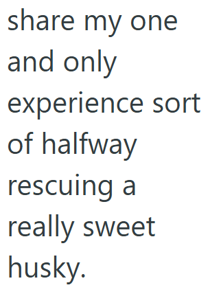 share my one and only experience sort of halfway rescuing a really sweet husky.