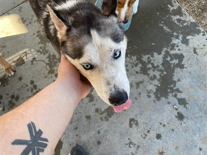 Cheezburger Image 10611144960