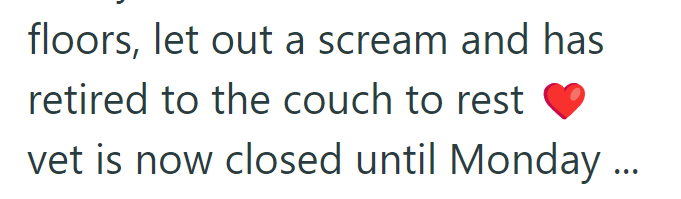 floors, let out a scream and has retired to the couch to rest vet is now closed until Monday ...
