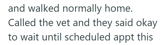 and walked normally home. Called the vet and they said okay to wait until scheduled appt this