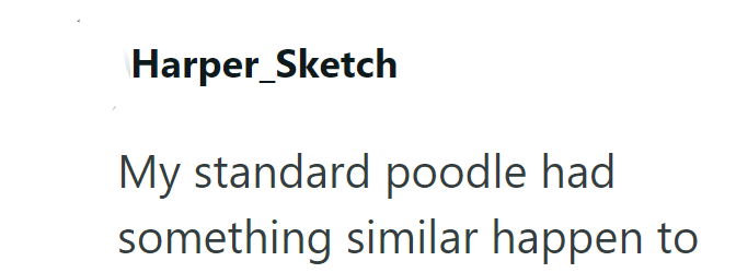 Harper_Sketch My standard poodle had something similar happen to