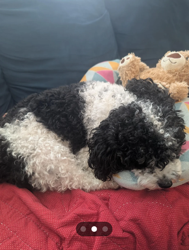 Cheezburger Image 10611150080