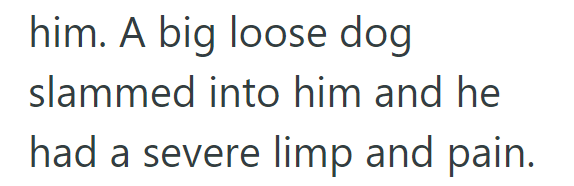 him. A big loose dog slammed into him and he had a severe limp and pain.