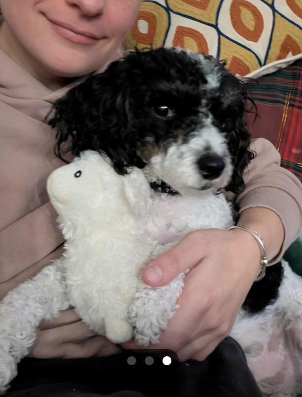 Cheezburger Image 10611150848