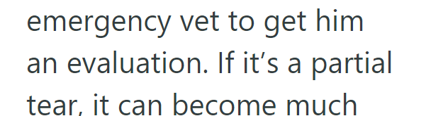 emergency vet to get him an evaluation. If it's a partial tear, it can become much