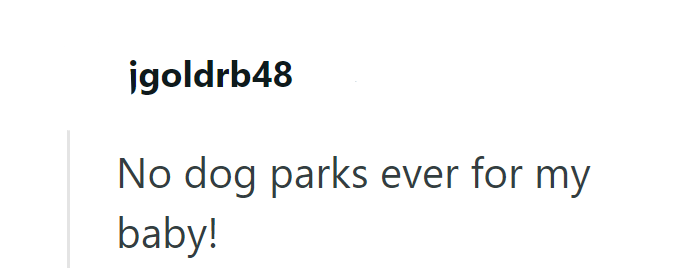 jgoldrb48 No dog parks ever for my baby!