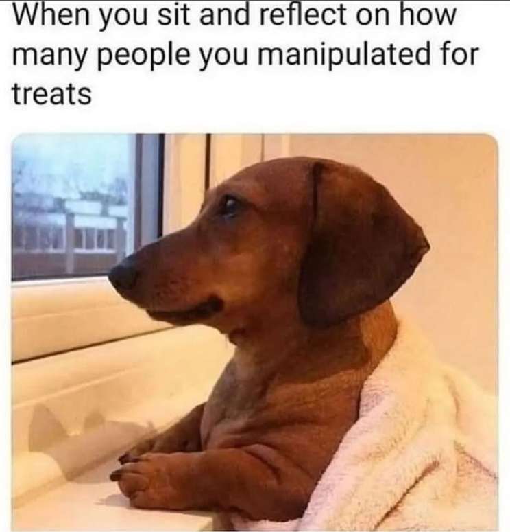 When you sit and reflect on how many people you manipulated for treats
