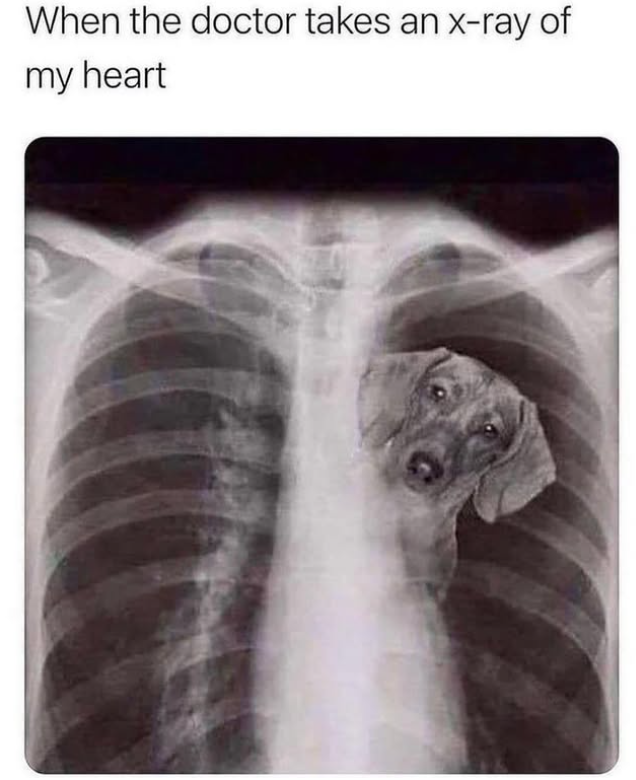 When the doctor takes an x-ray of my heart