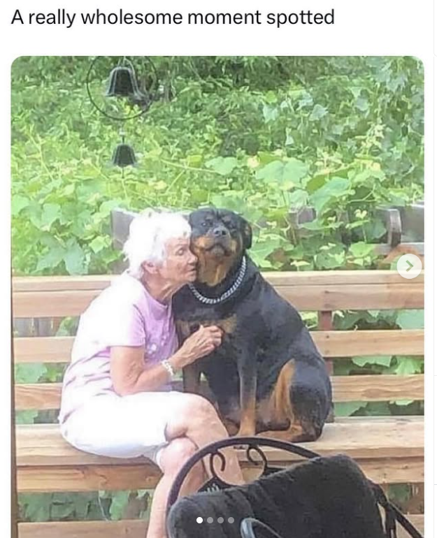 A really wholesome moment spotted