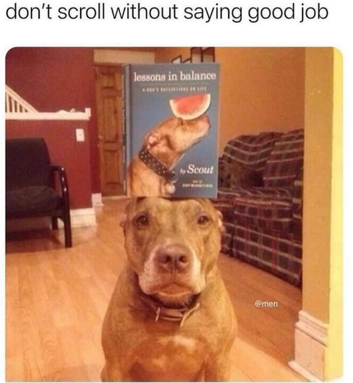 don't scroll without saying good job lessons in balance Scout @men