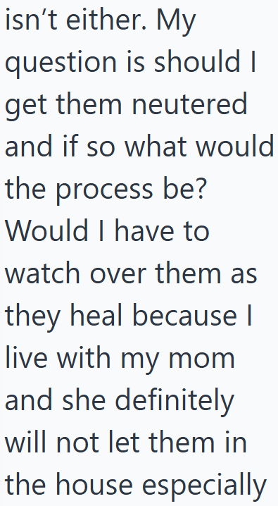 isn't either. My question is should I get them neutered and if so what would the process be? Would I have to watch over them as they heal because | live with my mom and she definitely will not let them in the house especially