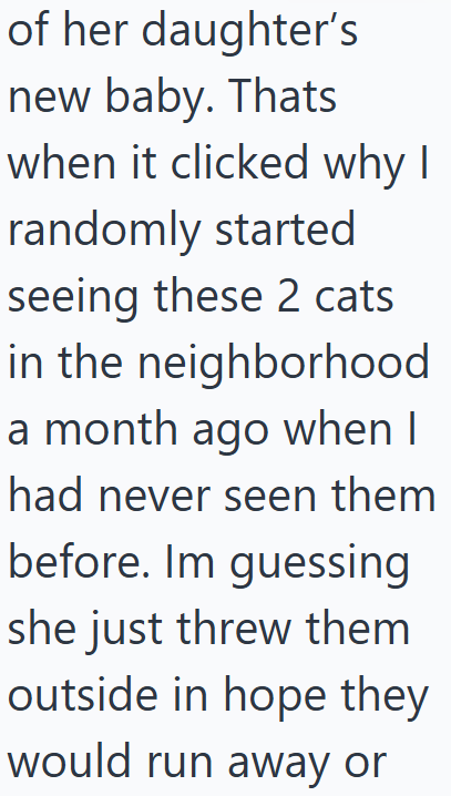 of her daughter's new baby. Thats when it clicked why I randomly started seeing these 2 cats in the neighborhood a month ago when I had never seen them before. Im guessing she just threw them outside in hope they would run away or