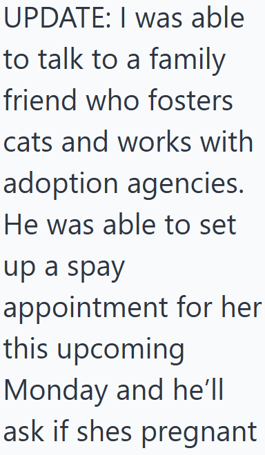 UPDATE: I was able to talk to a family friend who fosters cats and works with adoption agencies. He was able to set up a spay appointment for her this upcoming Monday and he'll ask if shes pregnant