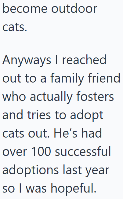 become outdoor cats. Anyways I reached out to a family friend who actually fosters and tries to adopt cats out. He's had over 100 successful adoptions last year so I was hopeful.