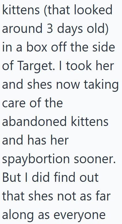 kittens (that looked around 3 days old) in a box off the side of Target. I took her and shes now taking care of the abandoned kittens and has her spaybortion sooner. But I did find out that shes not as far along as everyone