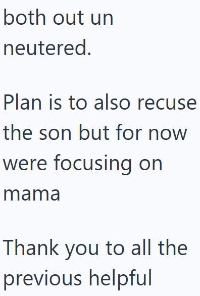both out un neutered. Plan is to also recuse the son but for now were focusing on mama Thank you to all the previous helpful