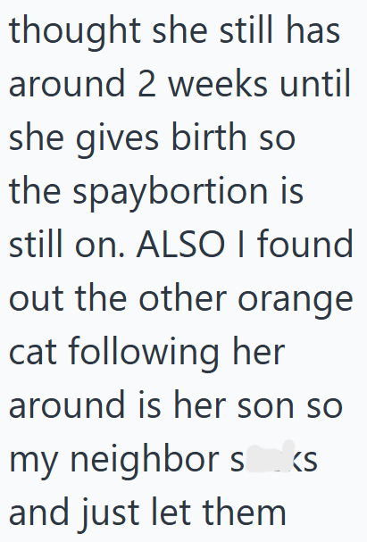 thought she still has around 2 weeks until she gives birth so the spaybortion is still on. ALSO I found out the other orange cat following her around is her son so my neighbor s<s and just let them