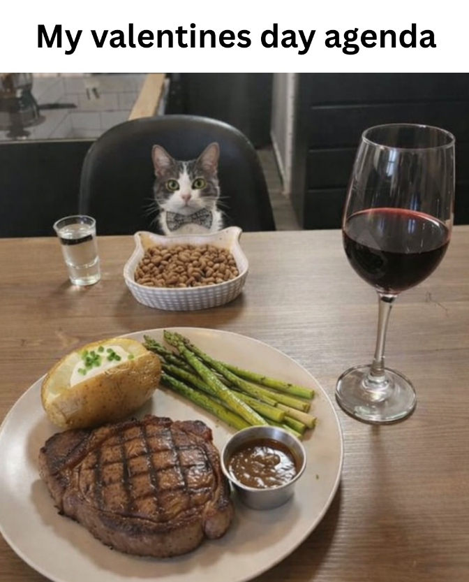 My valentines day agenda